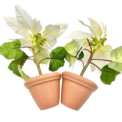 Pair of Faux White Poinsettia Plants In 3.5 inch Terracotta Pots 11 inches tall