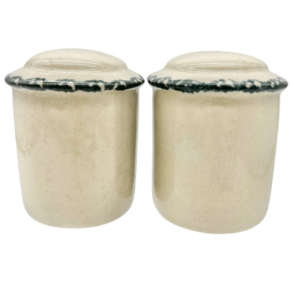 Vintage Salt and Pepper Shakers Feed Store Birdhouse Design Ceramic Hand Painted