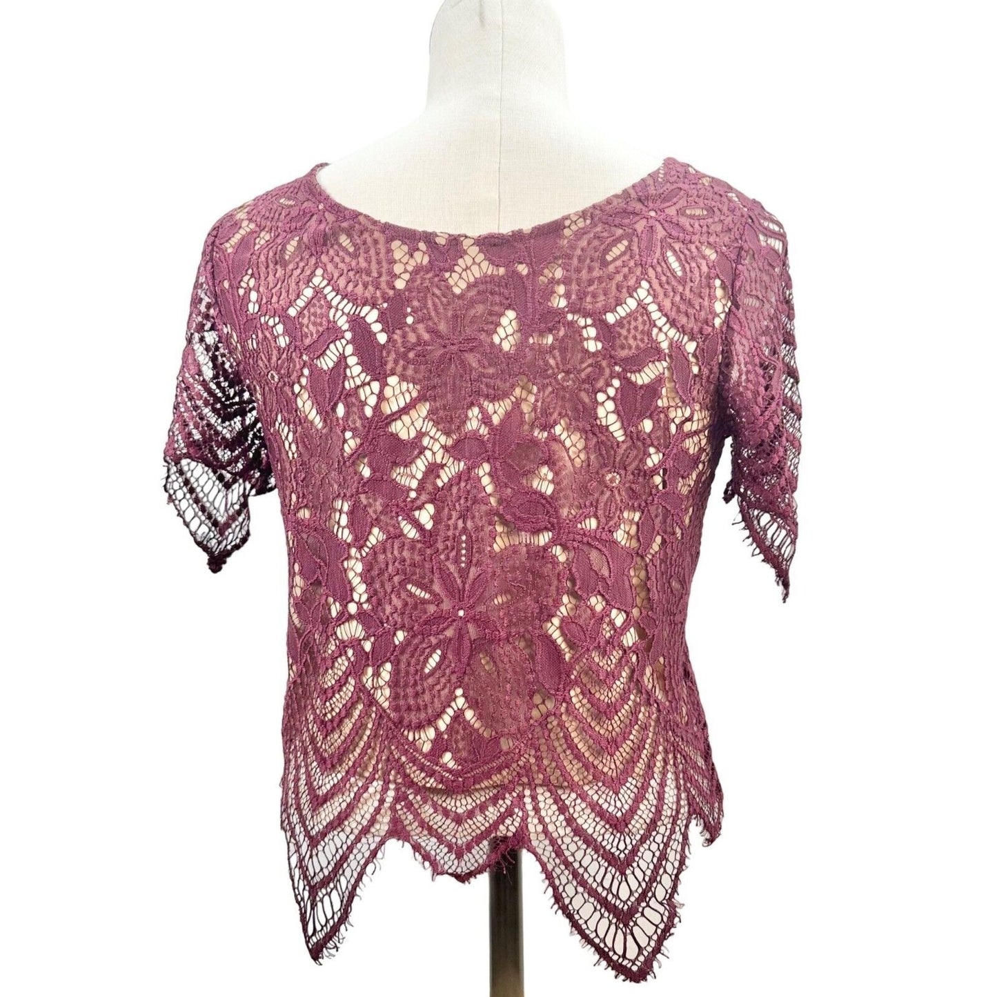 Express Top Women's S Wine Lace Attached Shell Short Sleeve