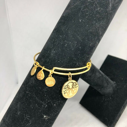 Alex and Ani Path of Life Bracelet Bright Bronze EUC