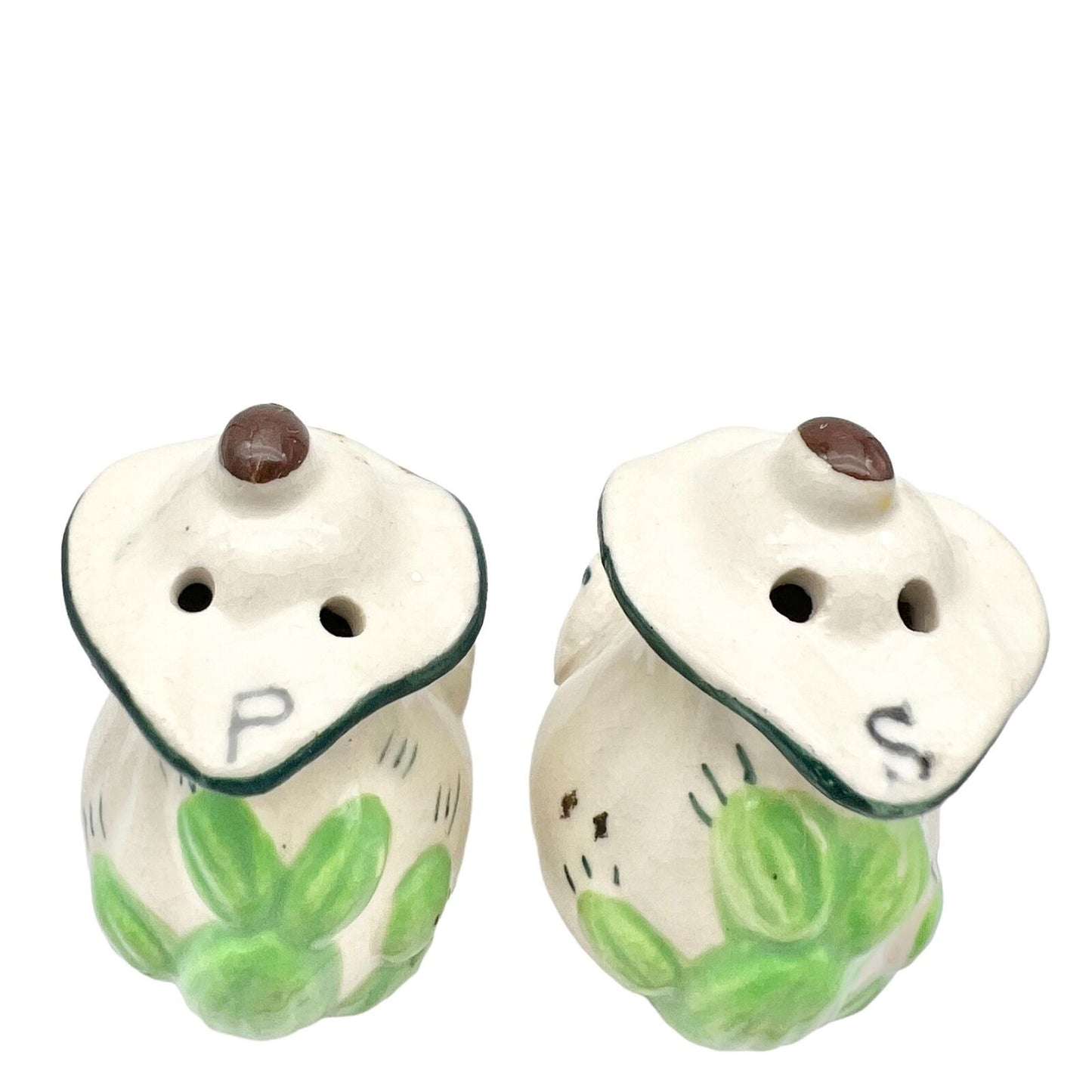 Salt Pepper Shakers 2 x 2 White Pitchers Cactus Cork Bottom