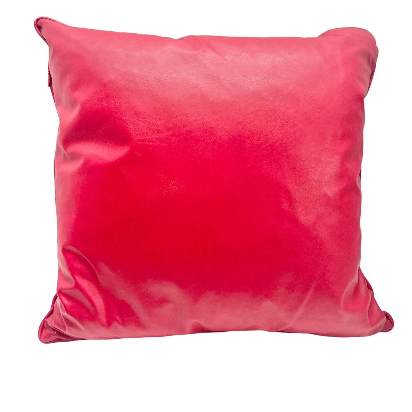 Set of 2 Faux Red Leather Decorative Feather and Down Fill Throw Pillow 18x18