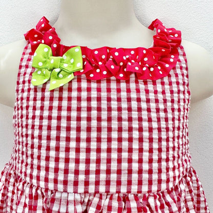 Emily Rose Infant 2-Piece Dress Set Size 18m Red White Gingham Watermelon Button